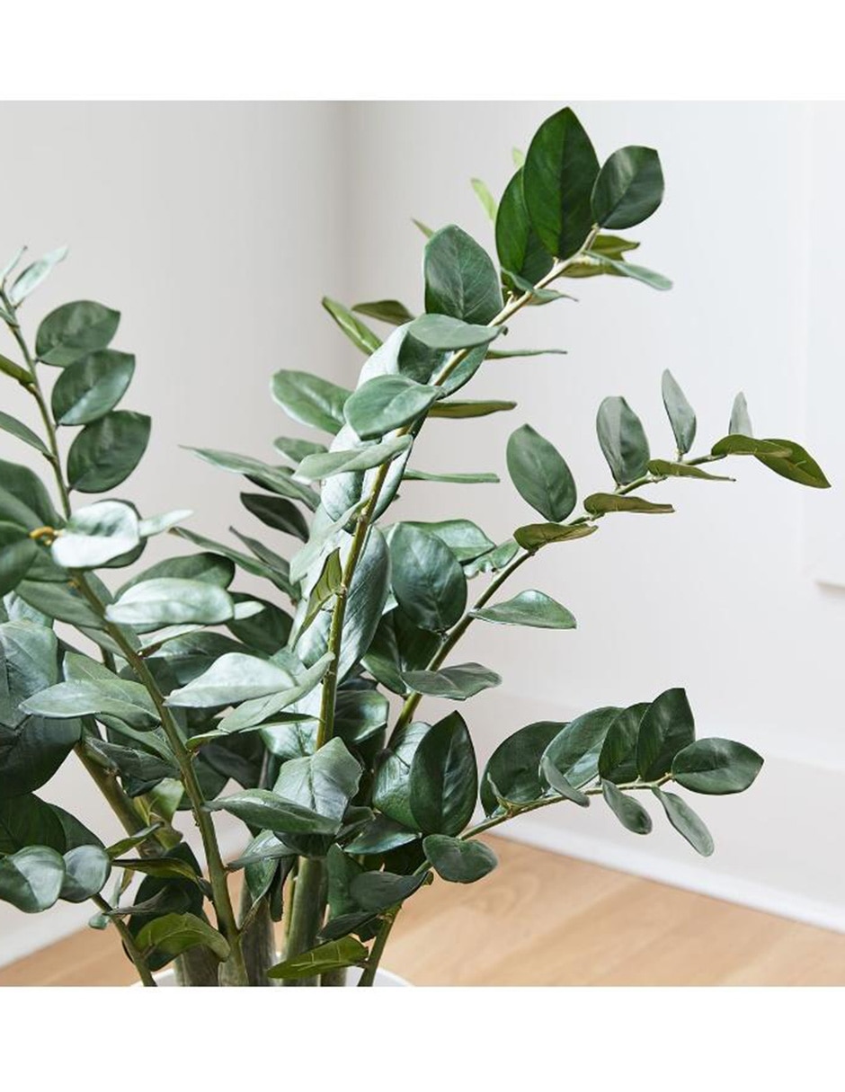 Ficus artificial