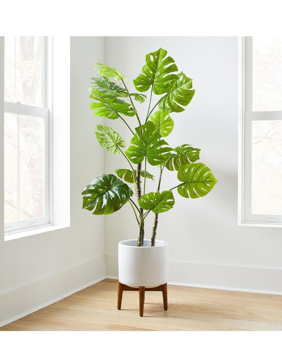 Monstera artificial