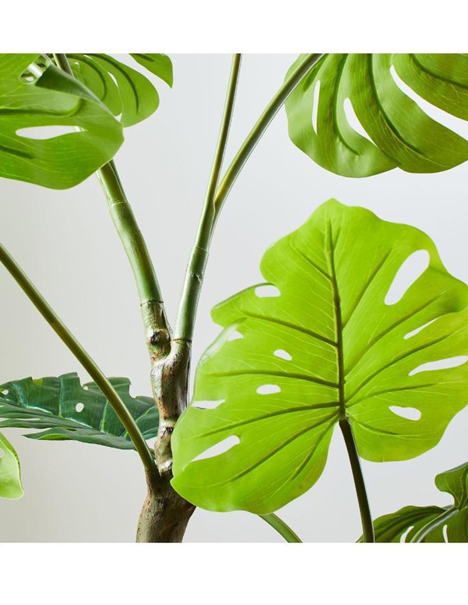 Monstera artificial