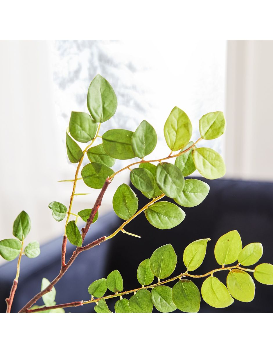 Hoja de frijol decorativa Bean Leaf