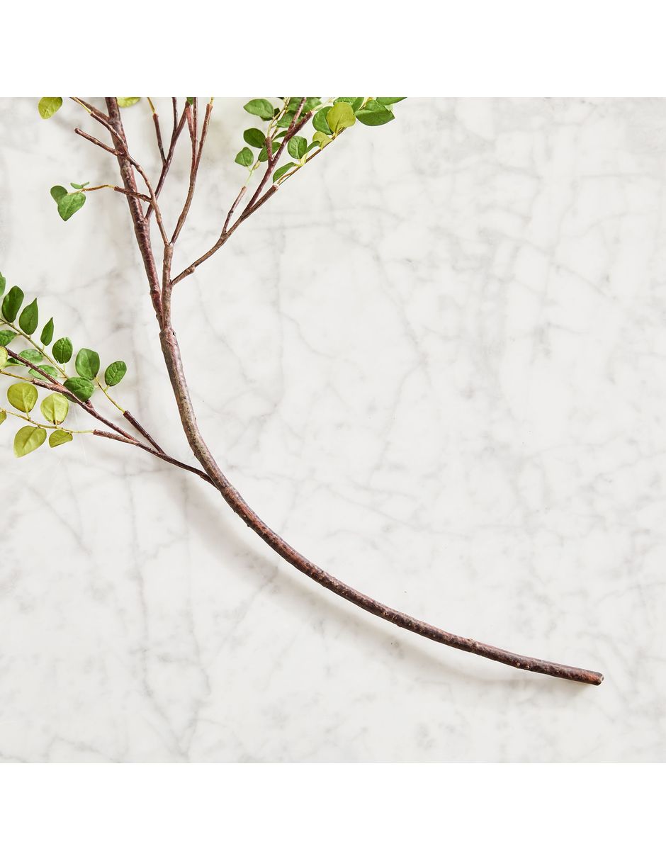 Hoja de frijol decorativa Bean Leaf