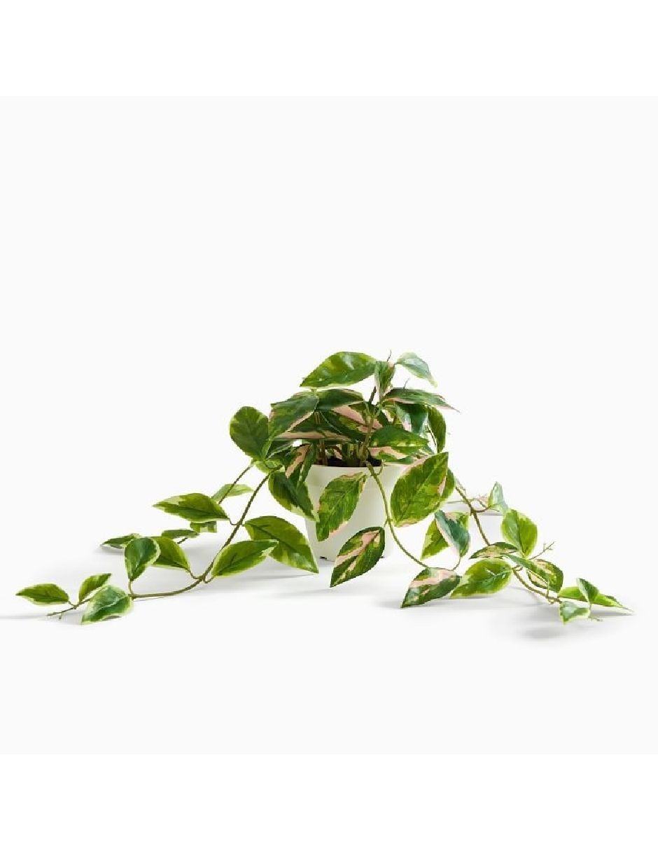 Planta colgante coleus artificial