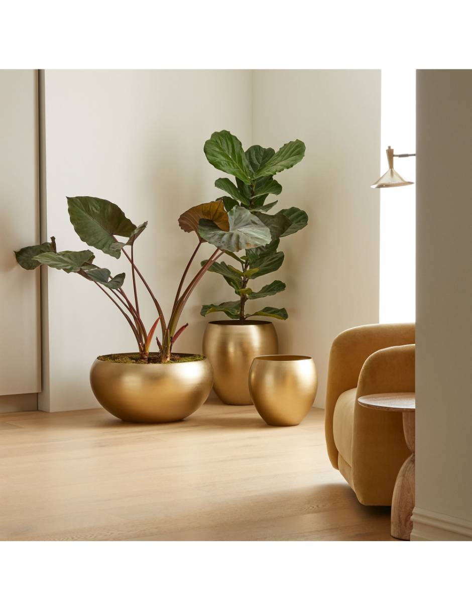 Maceta Organic Metal 2