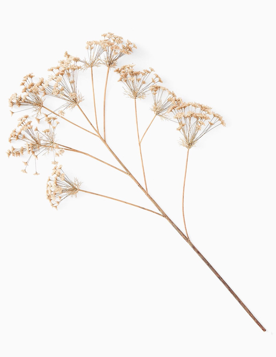 Rama decorativa Anne's Lace