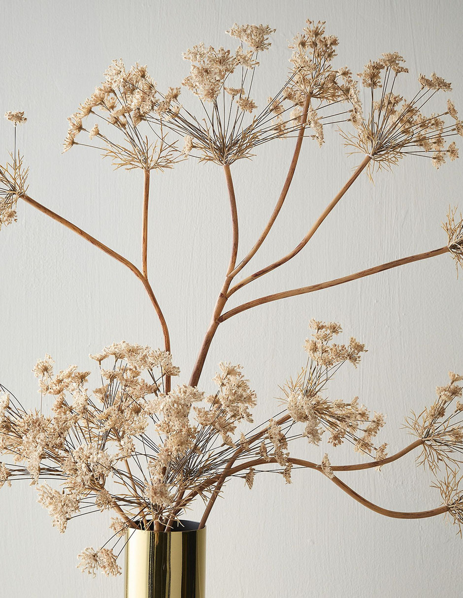 Rama decorativa Anne's Lace