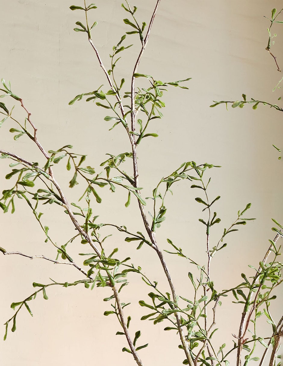 Árbol Faux Sophora 38 cm con maceta 2