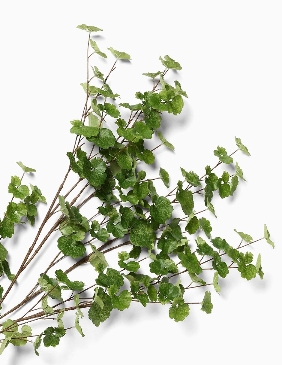 Rama decorativa Faux Herb