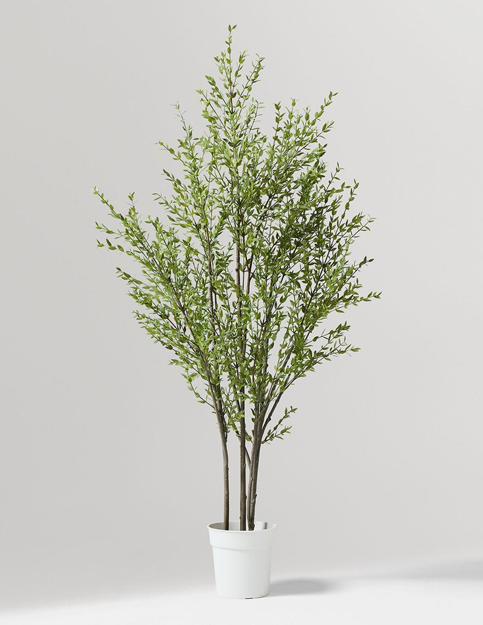 Árbol olivo Faux Potted 150 cm con maceta