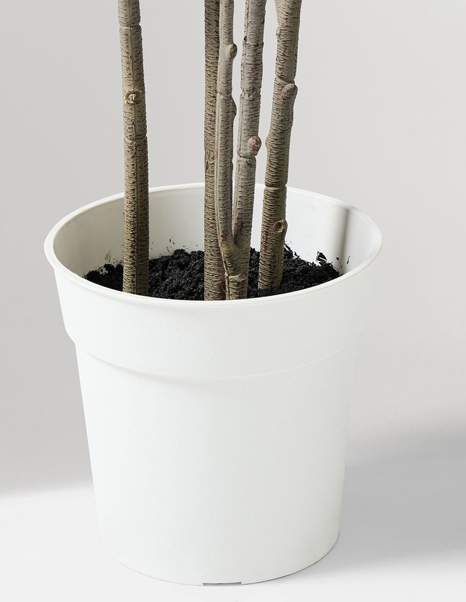Árbol olivo Faux Potted 150 cm con maceta