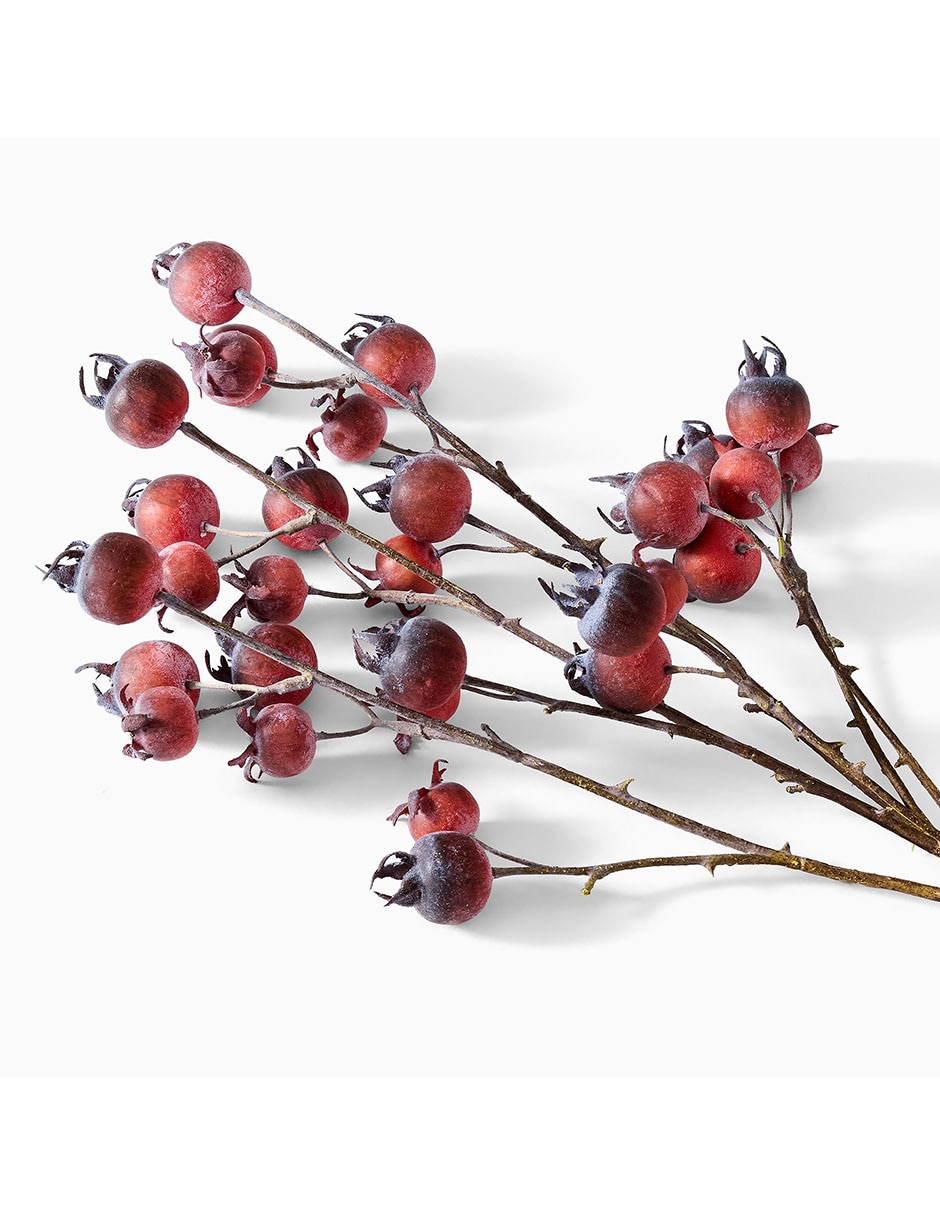 Rosa mosqueta decorativa Faux Bundle 5