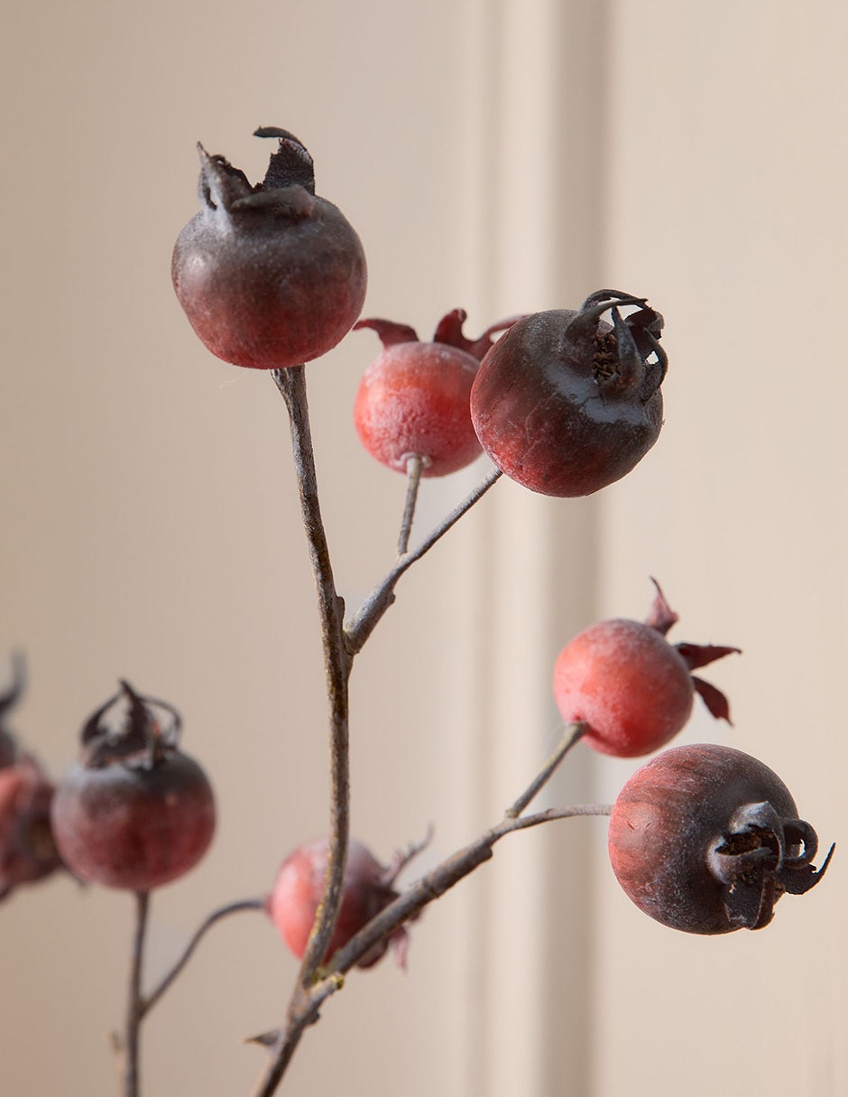Rosa mosqueta decorativa Faux Bundle 6