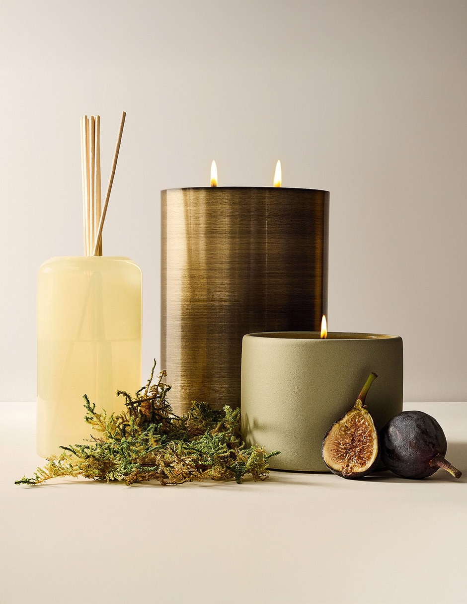 Vela aromática Terra Homescent