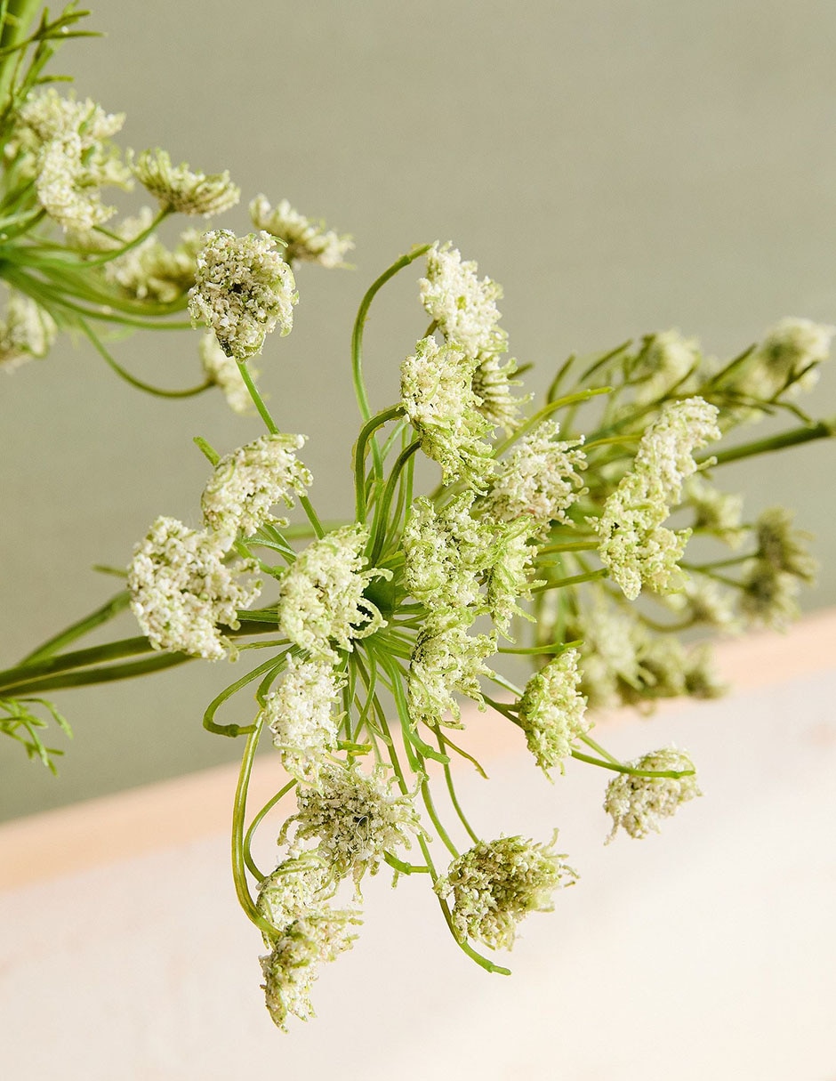 Daucus Carota decorativa Faux Branch