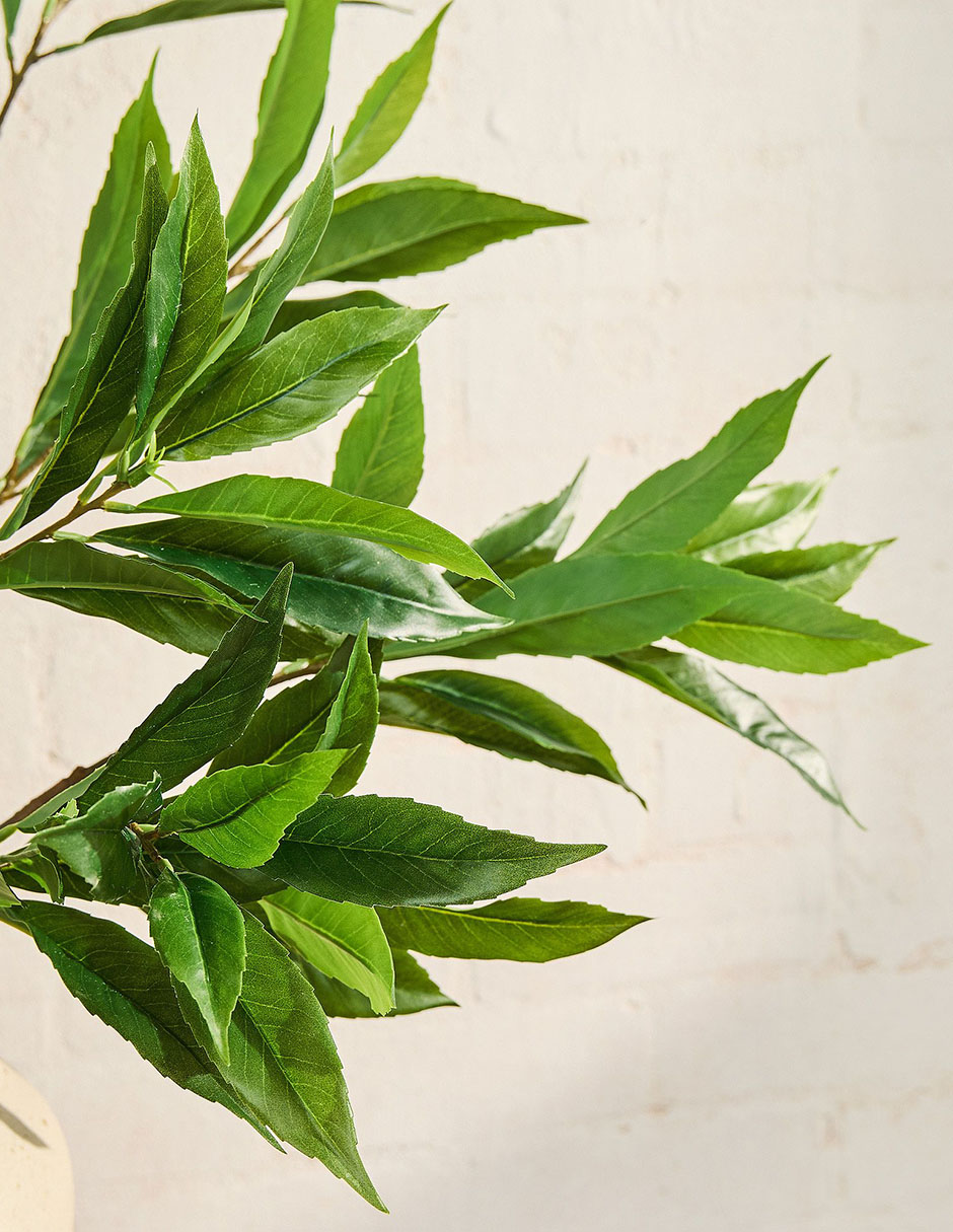 Hoja West Elm