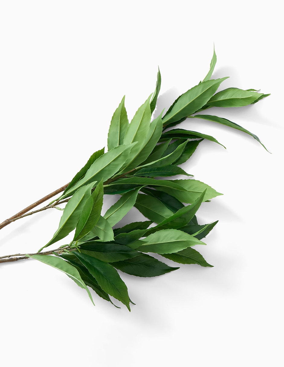 Hoja West Elm