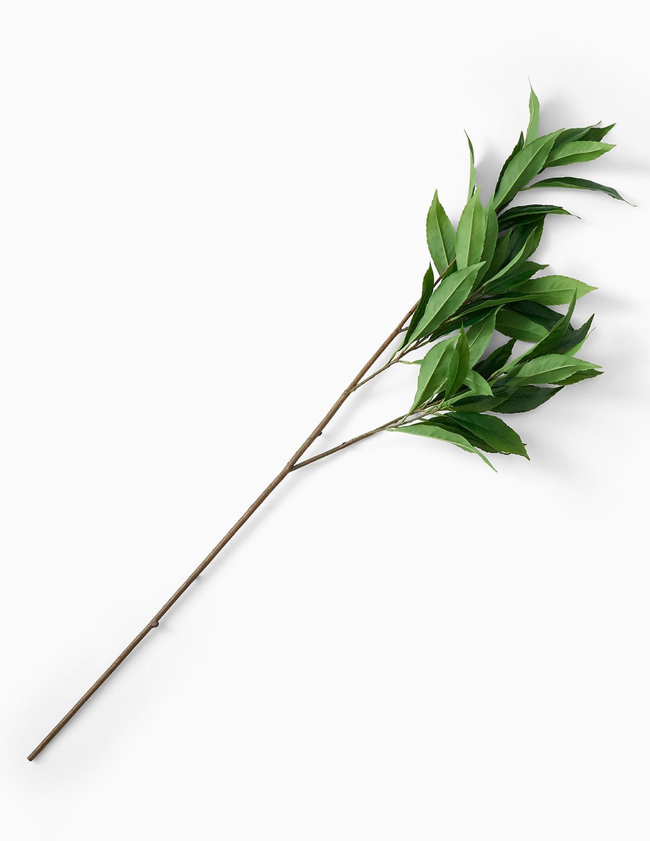 Hoja West Elm