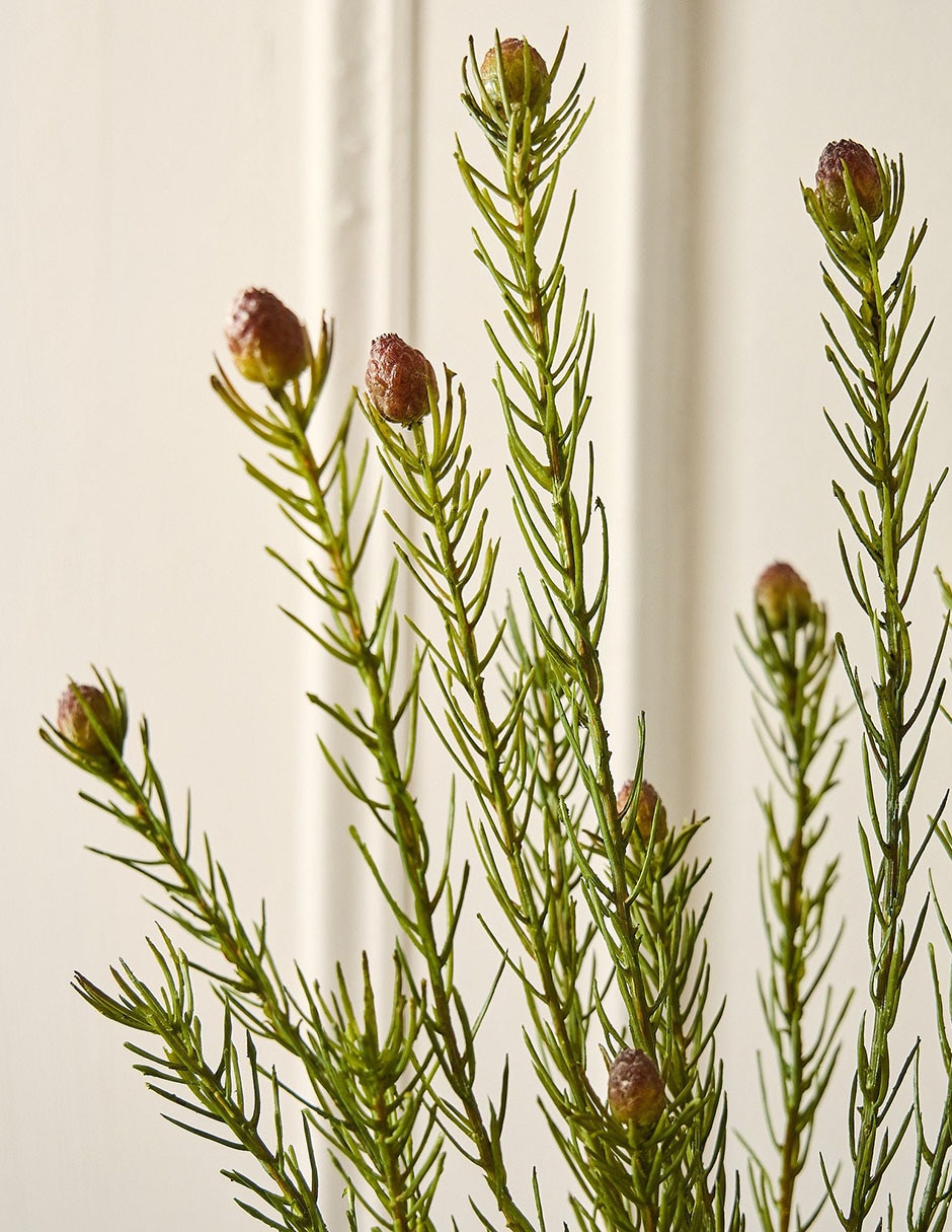 Vara decorativa Protea