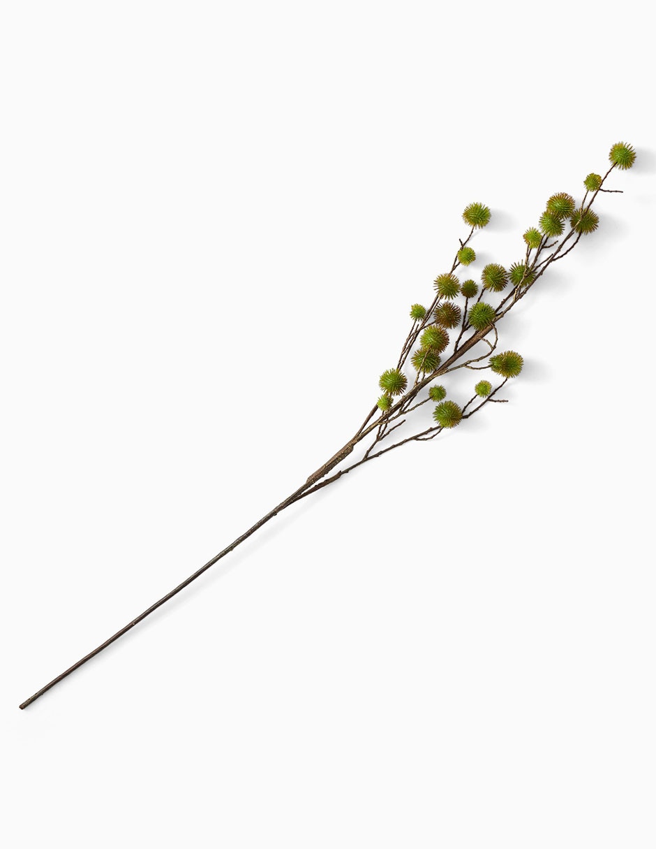 Hoja 1