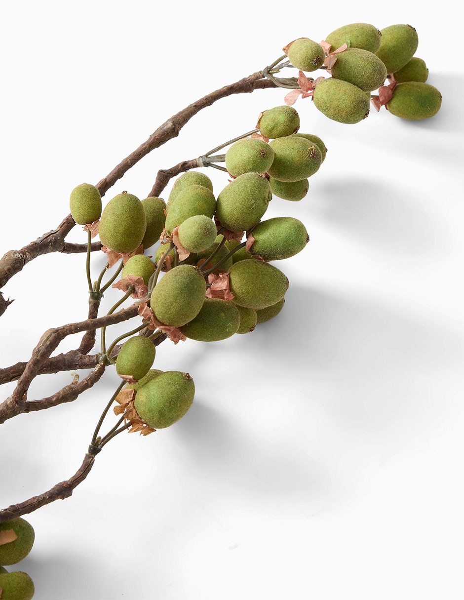 Vara decorativa Kiwi