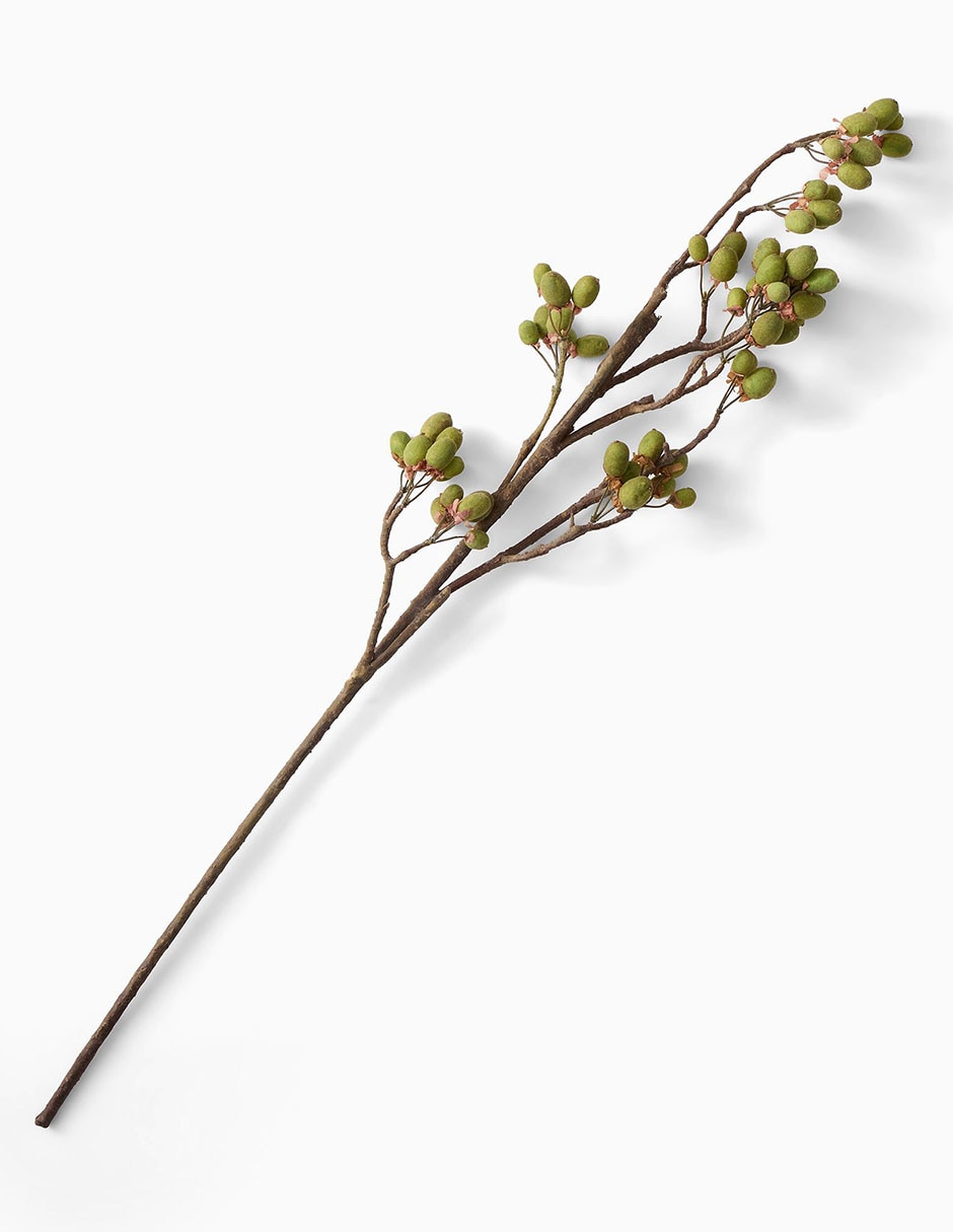 Vara decorativa Kiwi