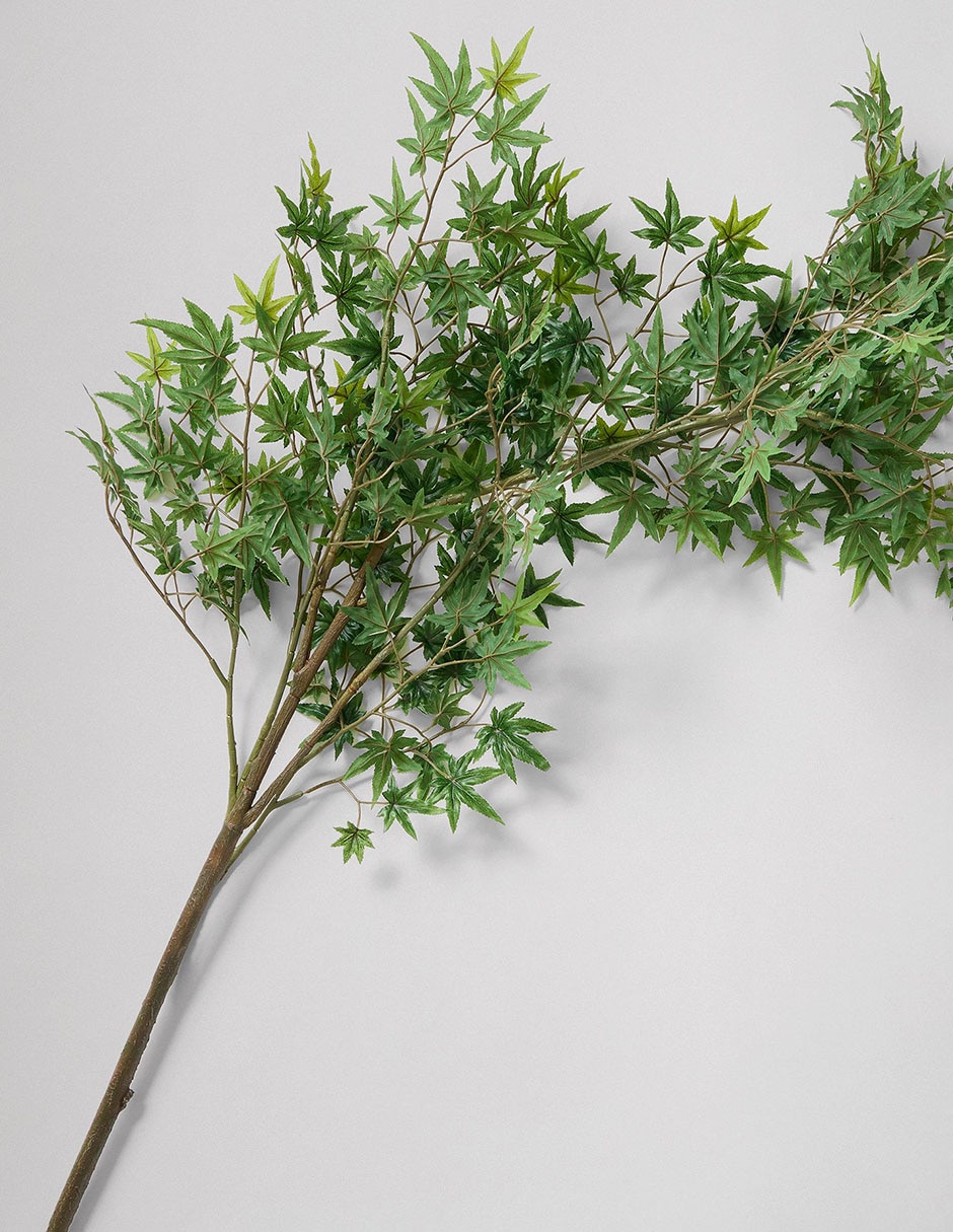 Hoja de arce decorativa 1