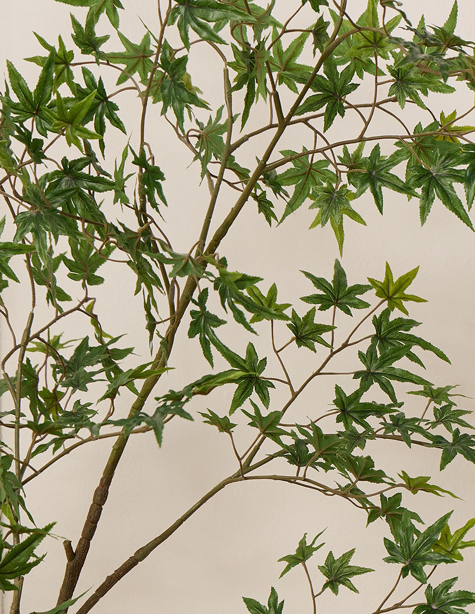 Hoja de arce decorativa 3