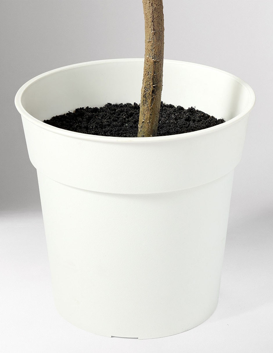 Árbol Faux Potted