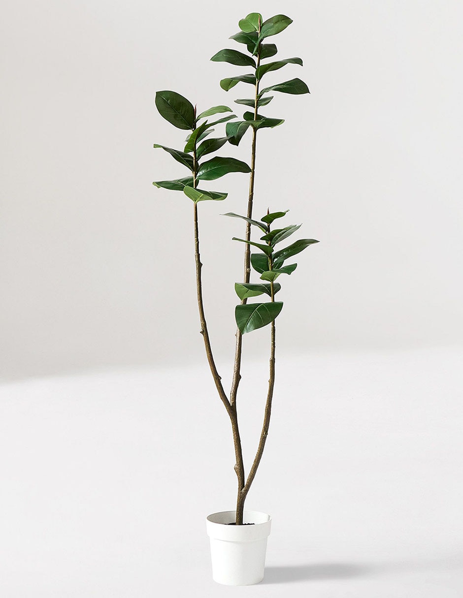 Árbol de gomero Faux Potted