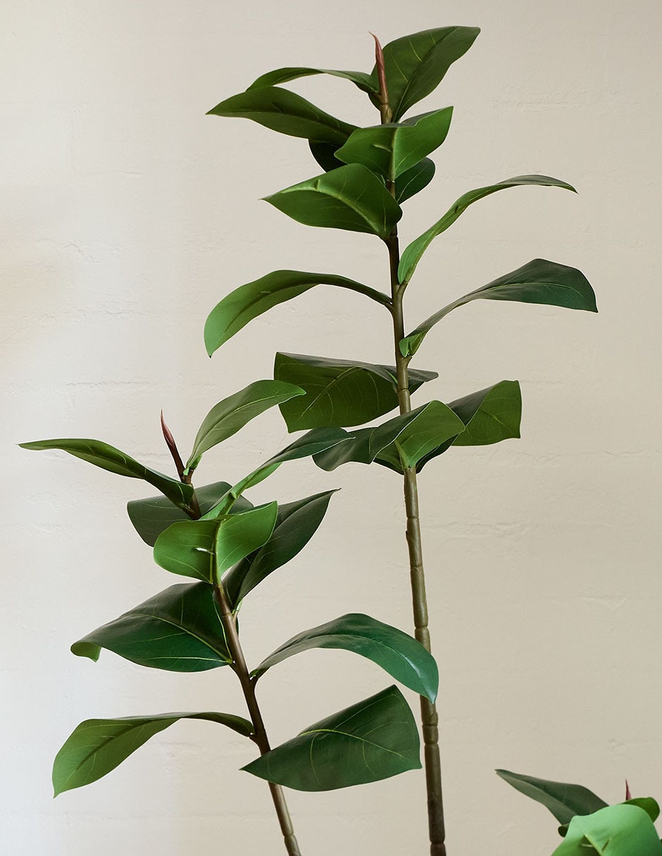 Árbol de gomero Faux Potted 3