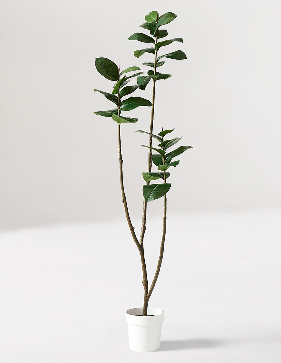 Árbol de gomero Faux Potted 4