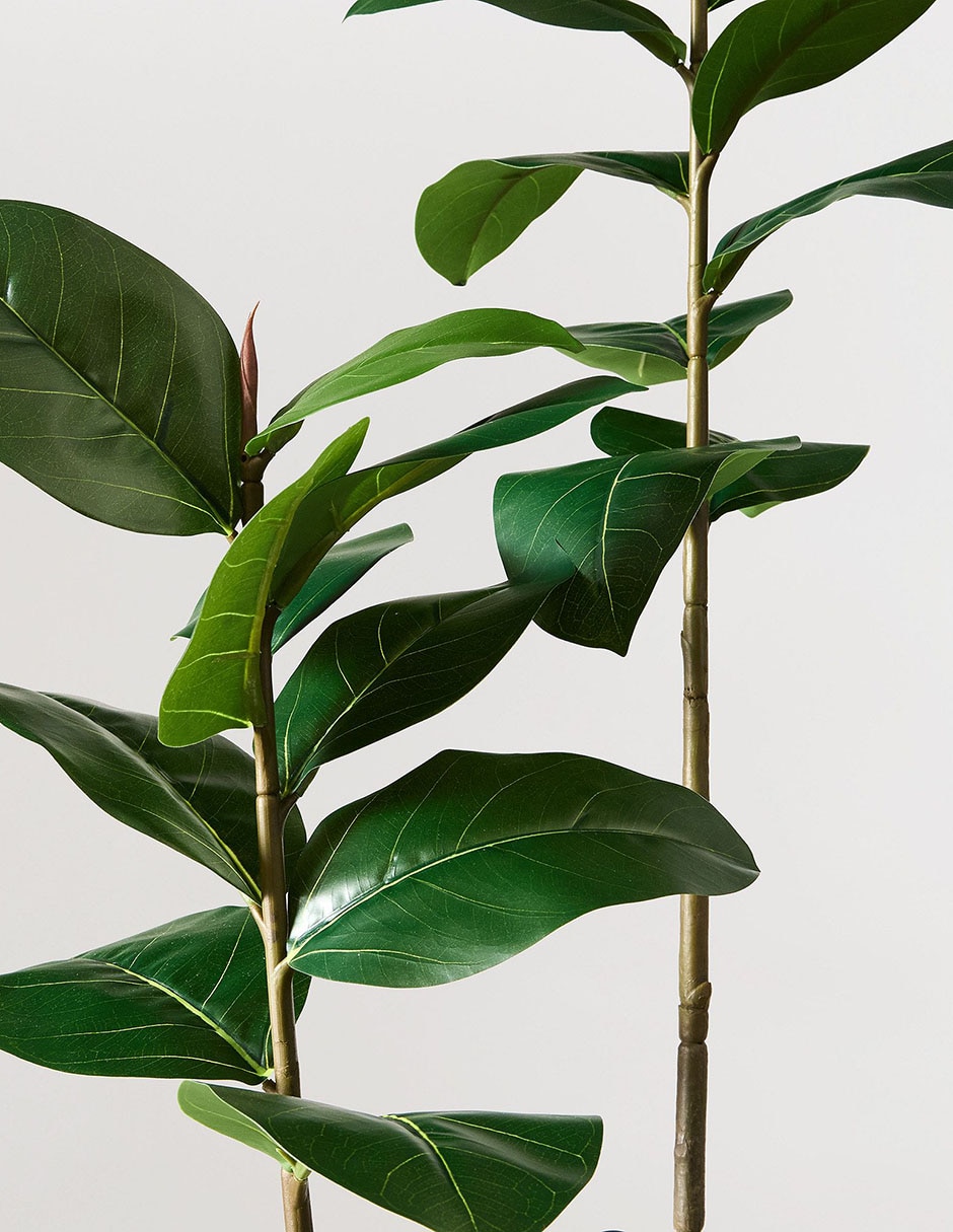 Árbol de gomero Faux Potted 5